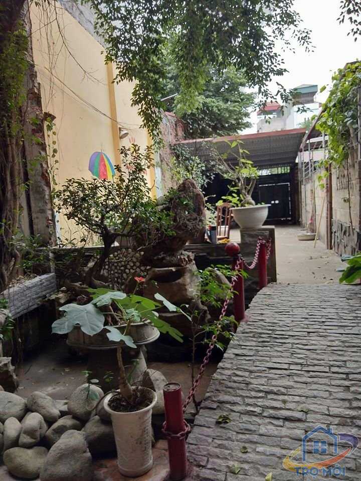 Homestay Đội Cấn Ở miễn phí