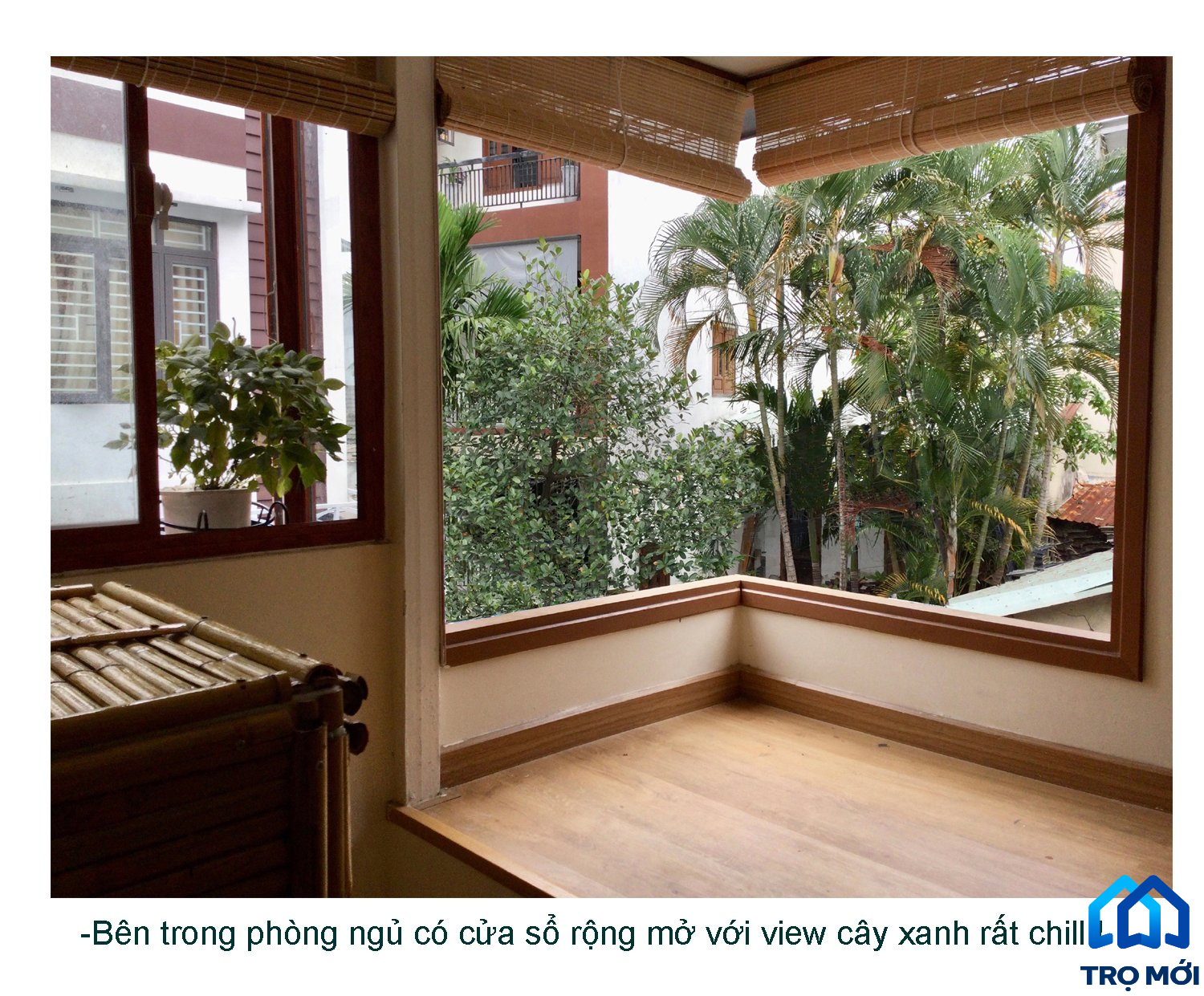 Cho thuê phòng có view cây xanh rất đẹp, gió mát ngay đầu cầu Rồng 2,5 triệu