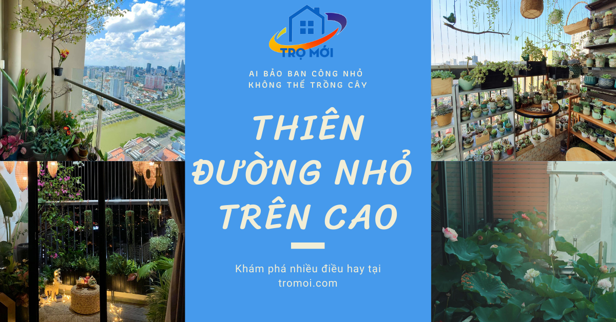 Thiên đường nhỏ trên cao 