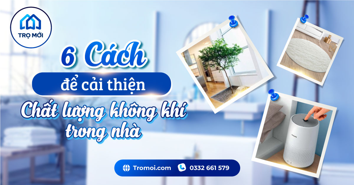 Cách để cải thiện chất lượng không khí trong nhà