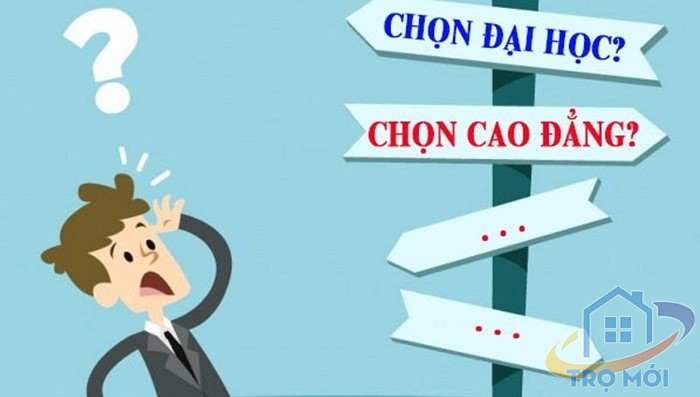 Không đậu đại học thì làm gì?