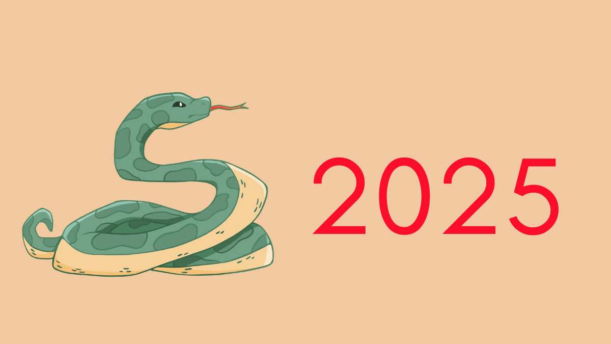 2025 là năm con gì, mệnh gì, hợp tuổi nào?