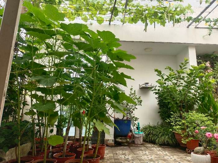 Cho thuê nhà nguyên căn ngay tại Phường Trung Dũng, Thành phố Biên Hòa, Đồng Nai, sát bên trường THPT Ngô Quyền